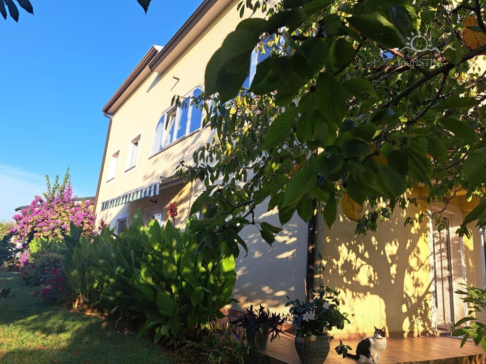 Bozica House With Apartments Murine Extérieur photo